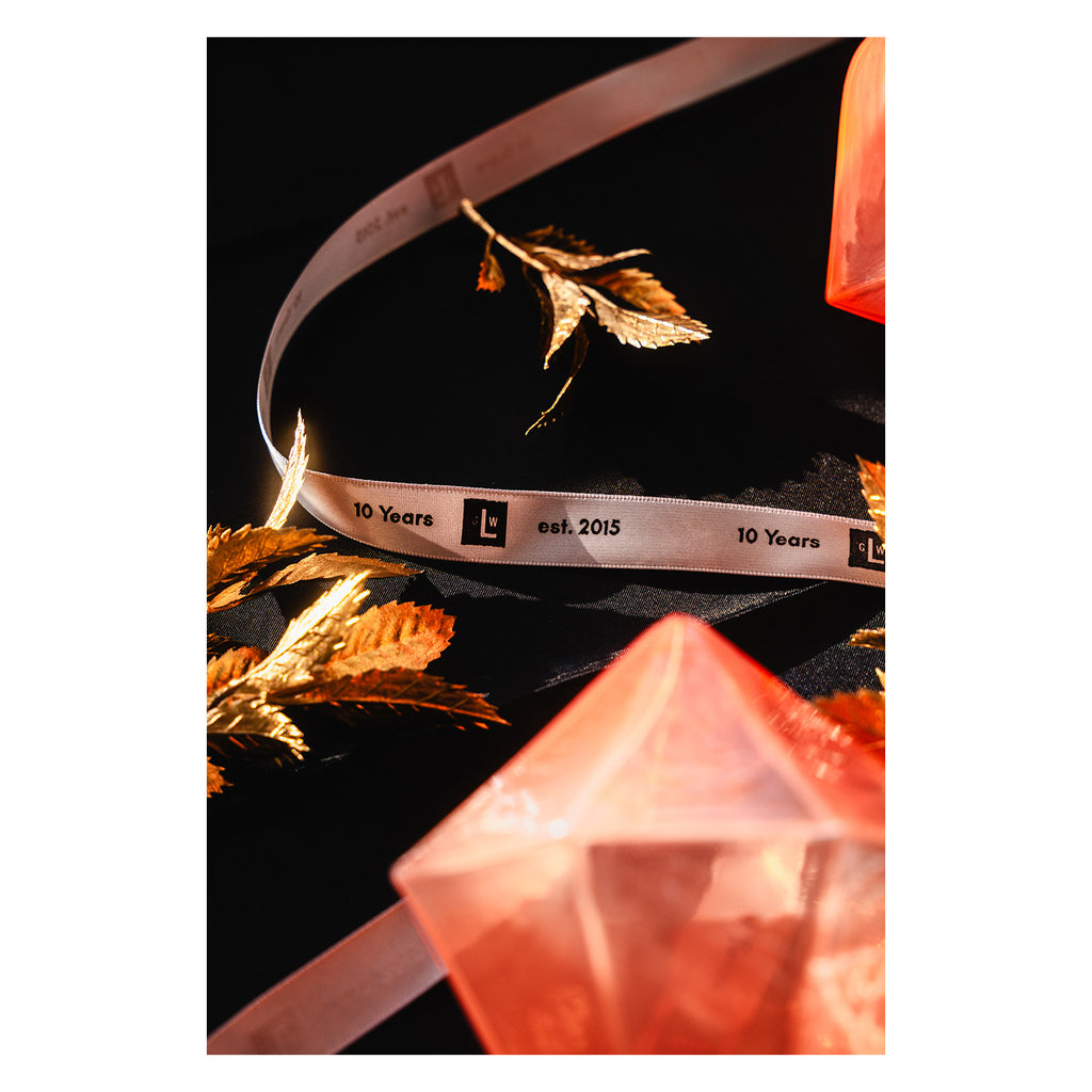 2025 Limited Edition Ornament