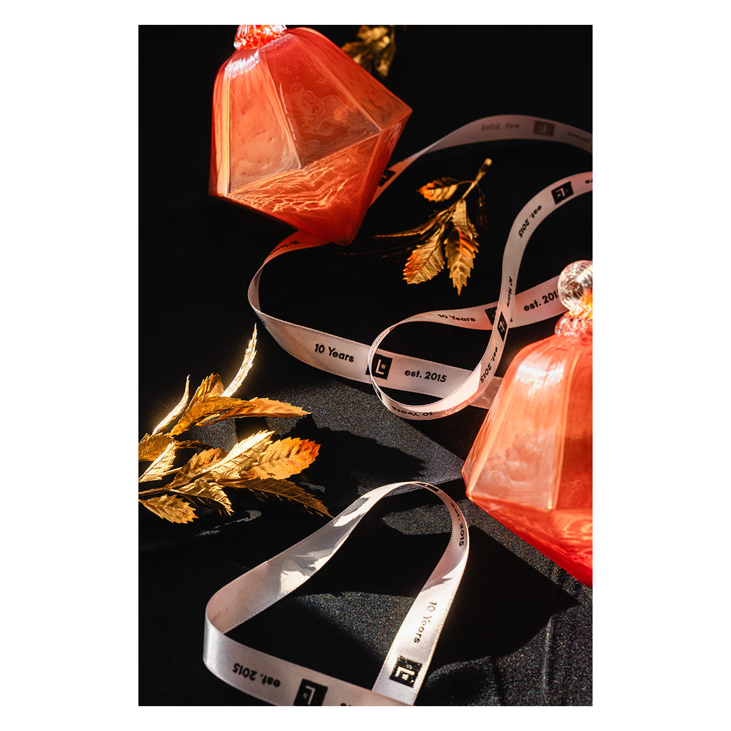 2025 Limited Edition Ornament