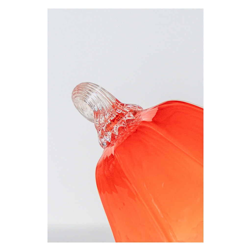 2025 Limited Edition Ornament