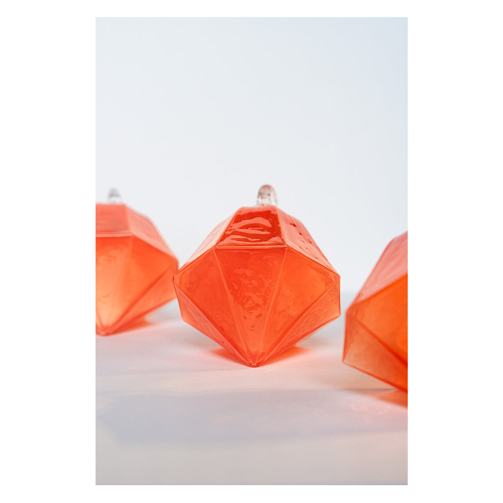 2025 Limited Edition Ornament