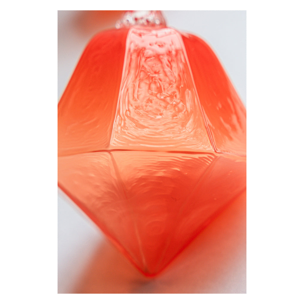 2025 Limited Edition Ornament