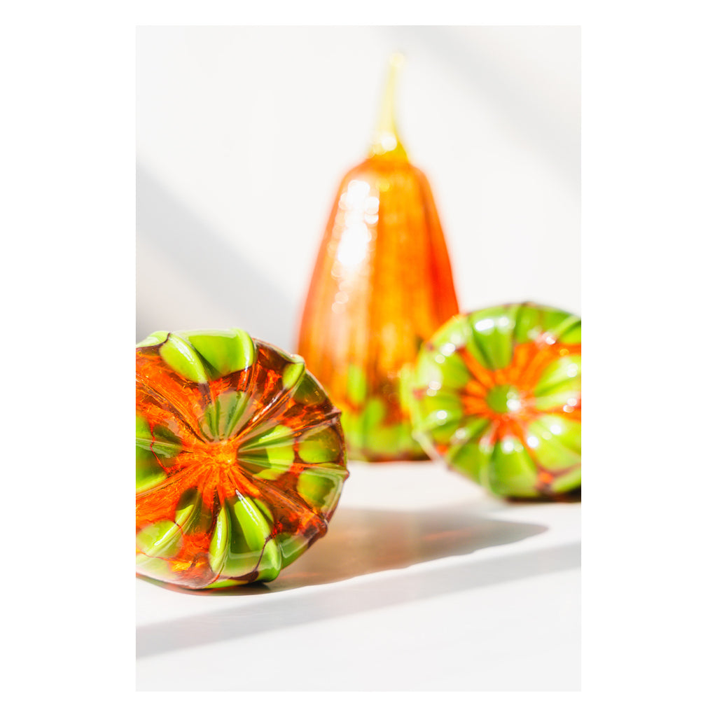 orange and green pumpkin on white surface with a blurred background