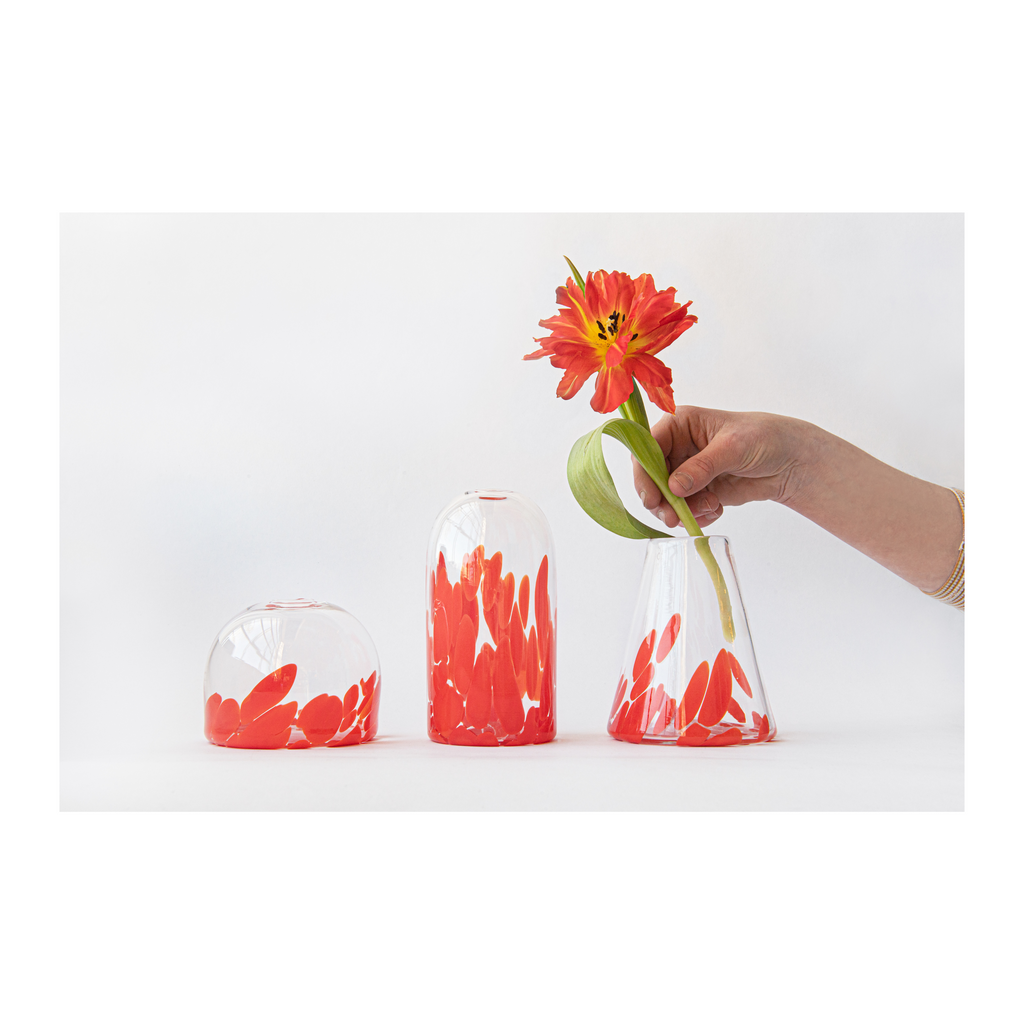 monstera deliciosa glass vase charcoal Monstera Collection
