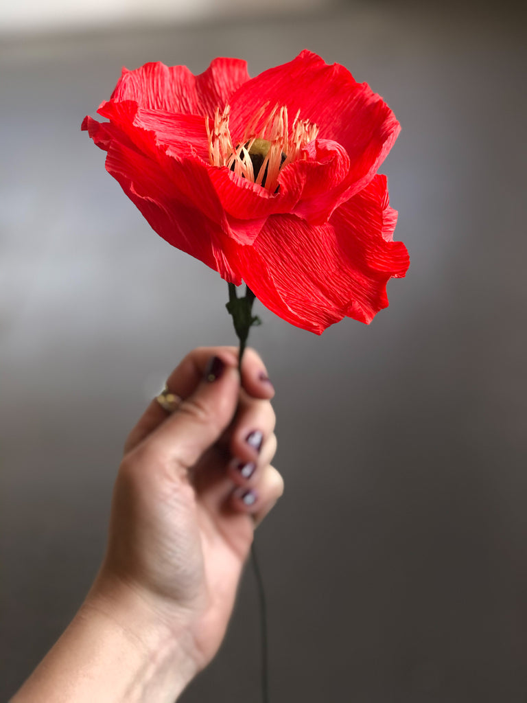 Valentine's Day Poppy
