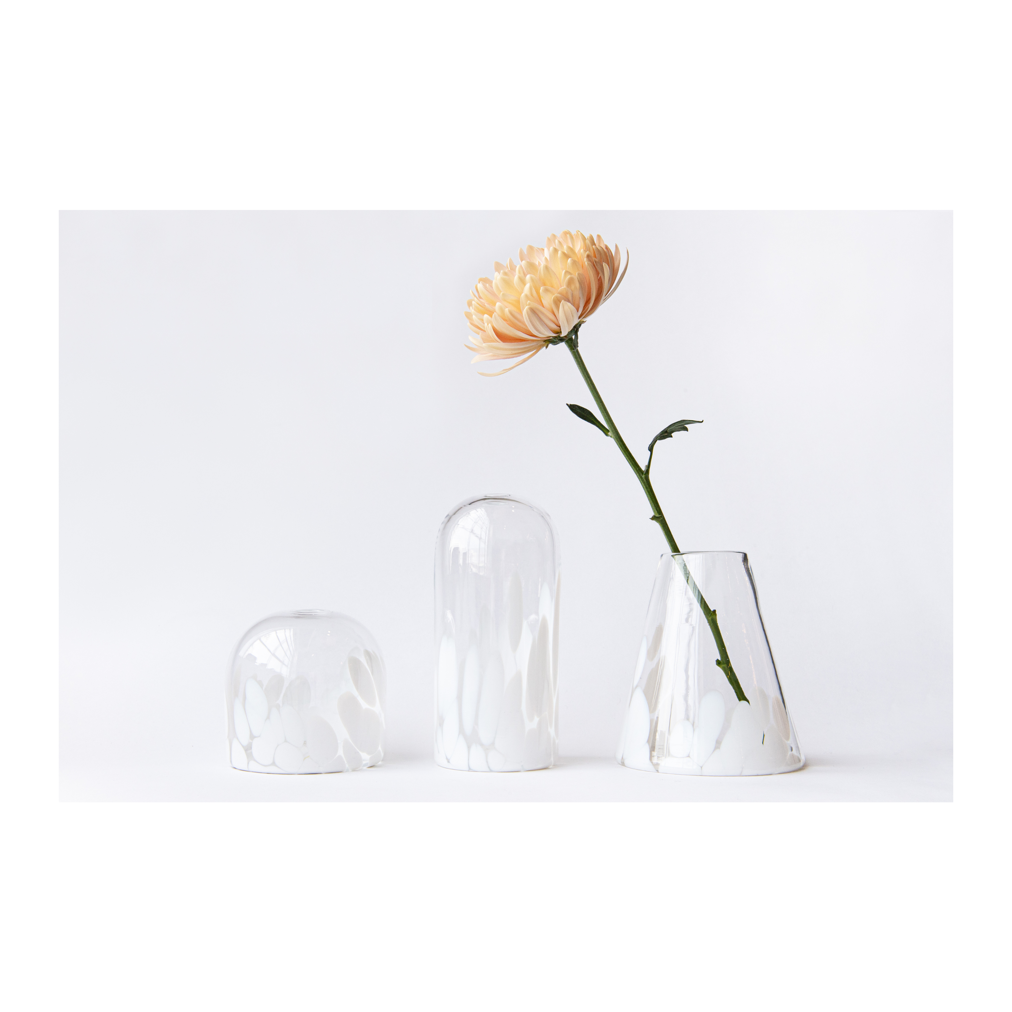 Hand-blown Clear Glass Scalloped Lipped Flower Vase for Home or