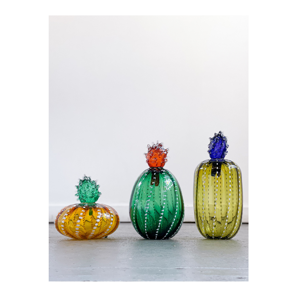 Flowering Cactus Bottles