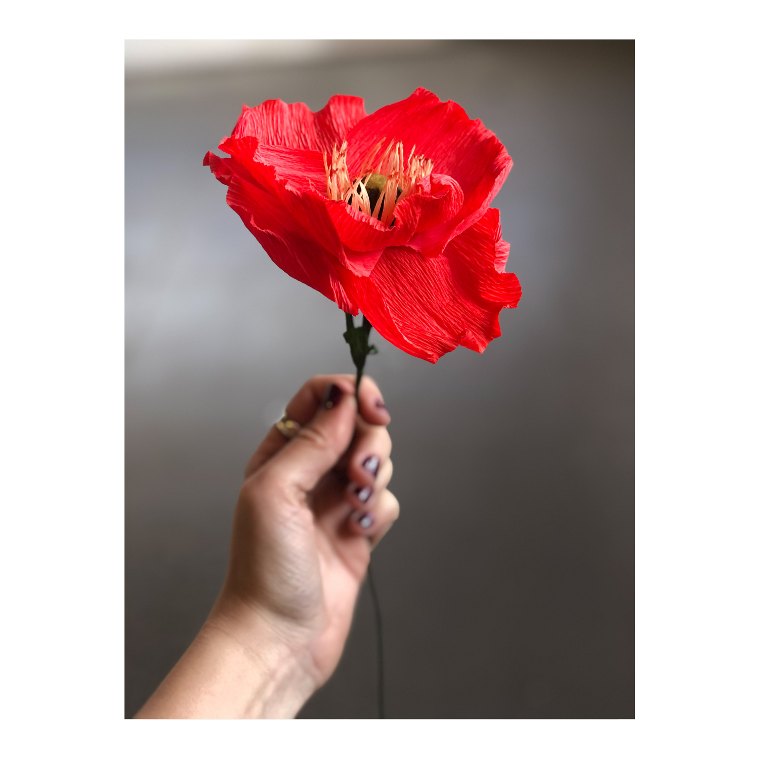 Flying Wish Paper- Poppies — Two Hands Paperie